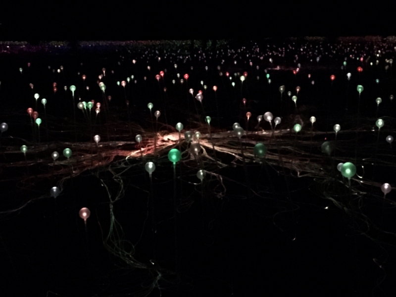 Uluru Night Lights Part II