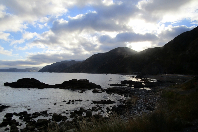 Coastline
