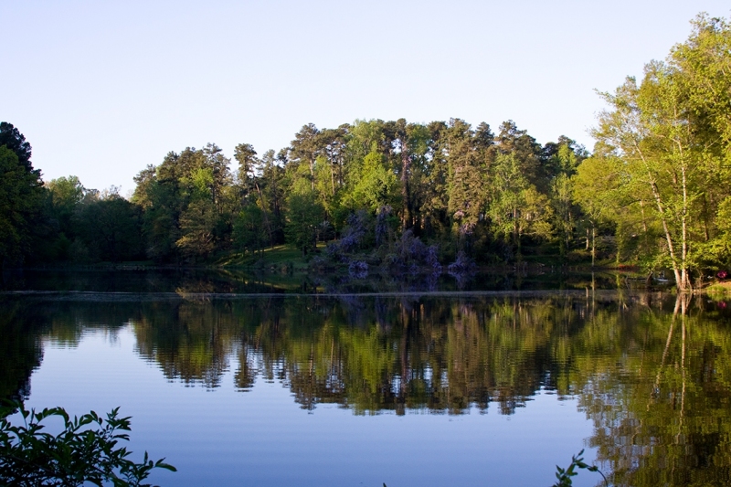 Lakeside reflections