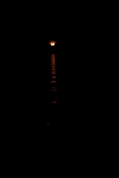 Night Sea Moon