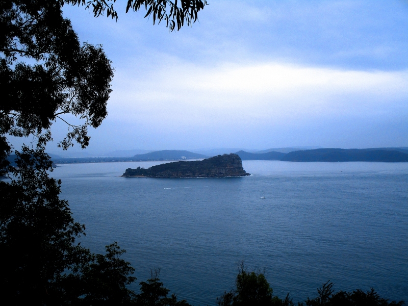 Lone Island