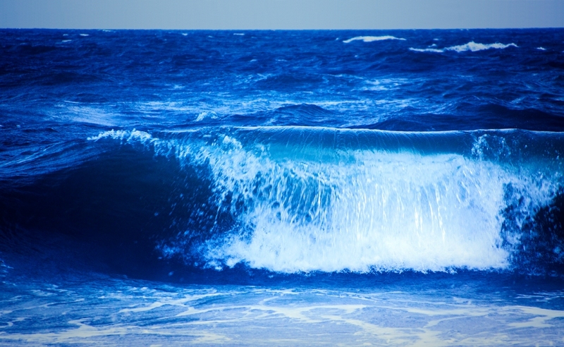 Wave
